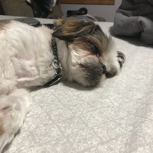 Meet your Posher, Paolo